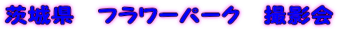 ��錧�@�t�����[�p�[�N�@�B�e��